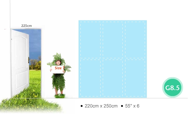 TFT-LCD制程技術(shù) TFT-LCD制程技術(shù)